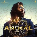 Animal Ranbir Kapoor Entry