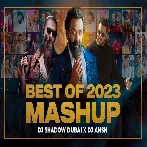 Best of 2023 MASHUP - DJ Shadow Dubai