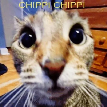 Chippi Chippi Chappa Chappa