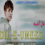 Dil E Umeed