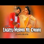 Lagelu Horha Ke Chana Slowed Reverb