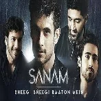 Bheegi Bheegi Raaton Mein - Sanam