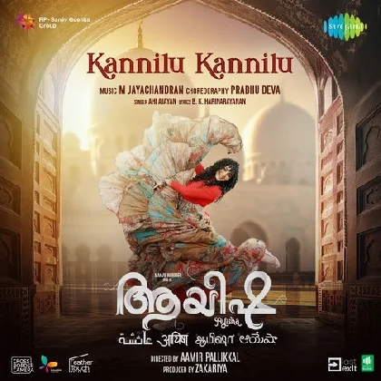 Kannilu Kannilu (Ayisha)