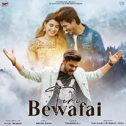 Teri Bewafai - Salman Ali