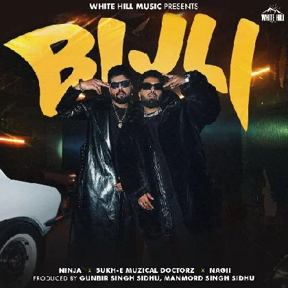 Bijli - Ninja