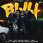 Bijli - Ninja