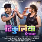 Tikuliya Ae Raja - Pawan Singh