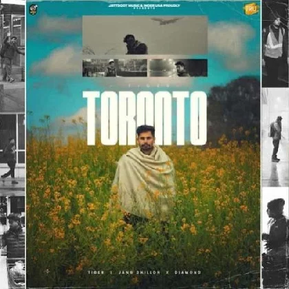 Toronto - Tiger