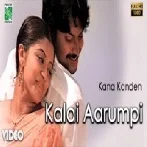 Kalai Aarumpi