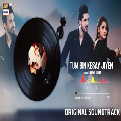 Tum Bin Kesay Jiyen OST