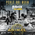 Pehle Bhi Main (Remix) DJ Aqeel