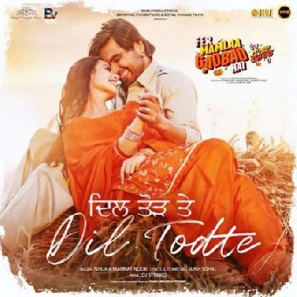 Dil Todte - Ninja