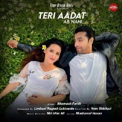 Teri Aadat Ab Nahi - Altamash Faridi