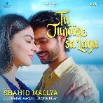 Tu Junoon Sa Laga - Shahid Mallya