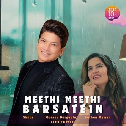 Meethi Meethi Barsatein - Shaan