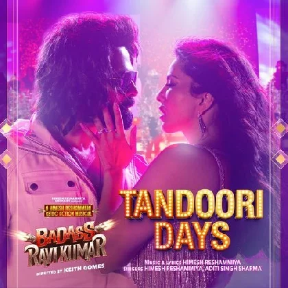 Tandoori Days (Badass Ravi Kumar)