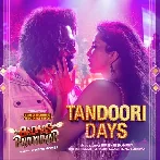 Tandoori Days (Badass Ravi Kumar)